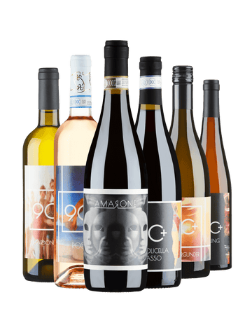 – Wein Entdeckerpaket 90+Wines